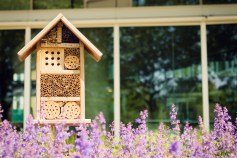 Insect hotel or house in a city environment